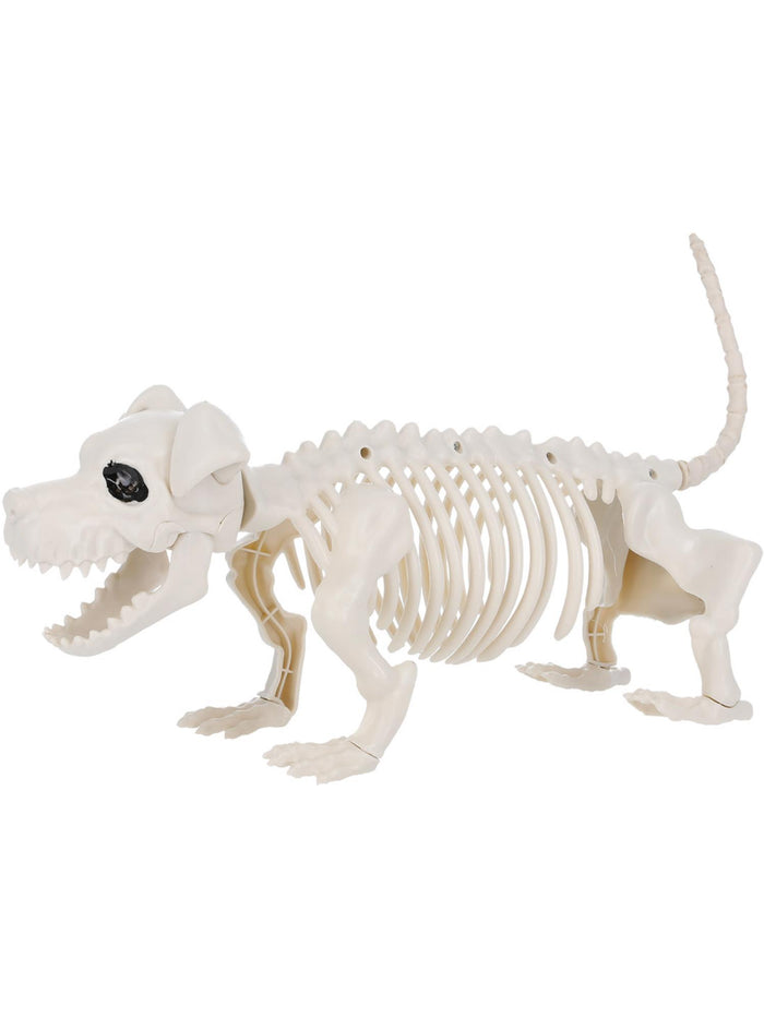 Dog Skeleton Prop