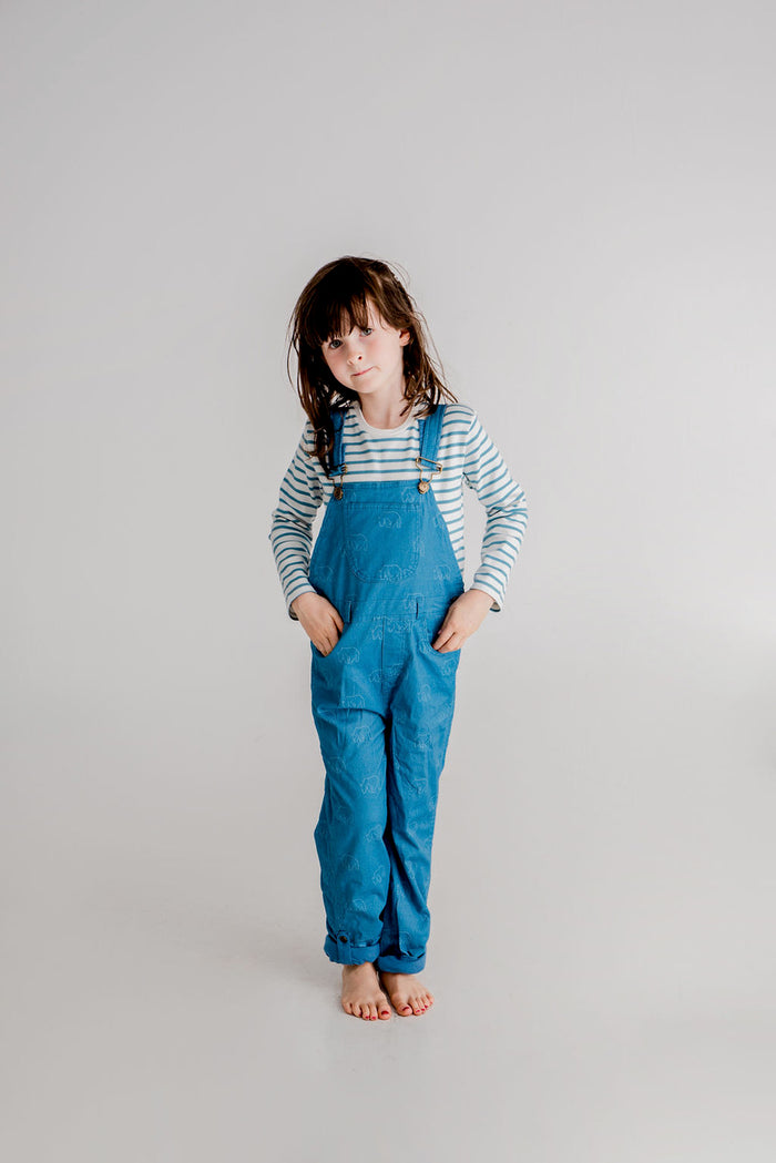 Dotty Dungarees | Bear Print Dungarees | Blue