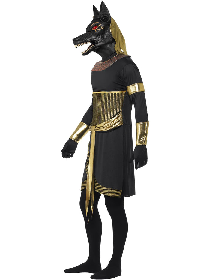 Anubis the Jackal