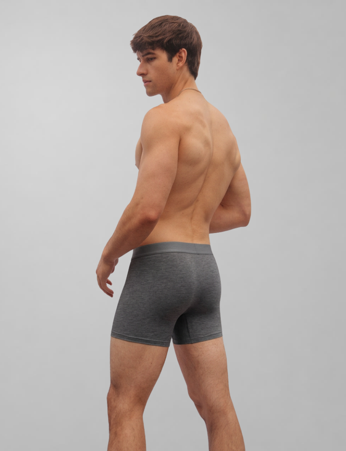 Bamboo Boxer Brief 5" (8-Pack) Re-stock
