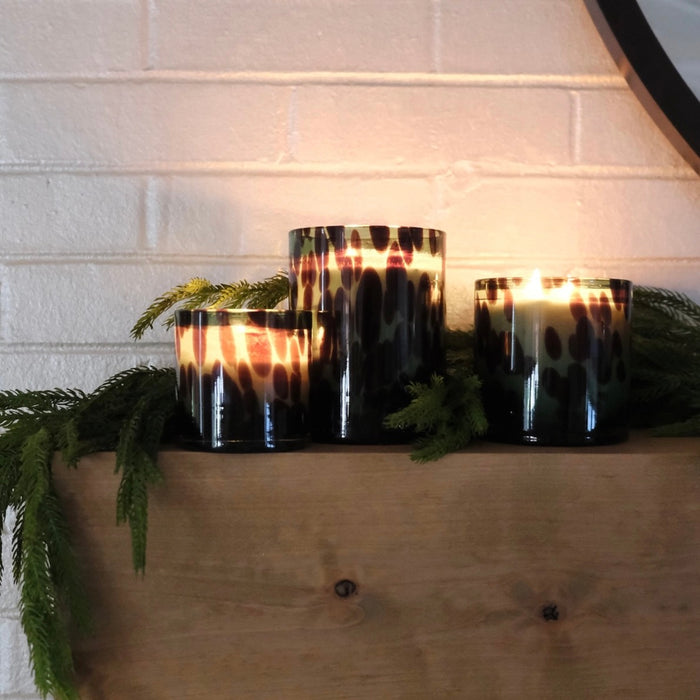 Botanica Holiday Candle: Fraser Fir Luxe Edition