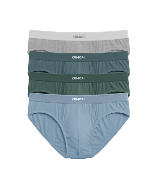 Buy 2 Get 2 Free Bamboo Briefs Core Colors