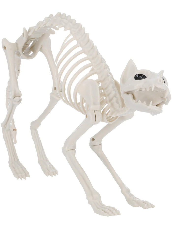 Cat Skeleton Prop