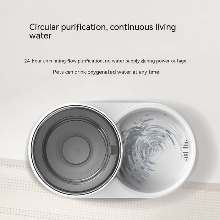 Cat Water Fountain Automatic Pet Feeder by DigestWell Co.