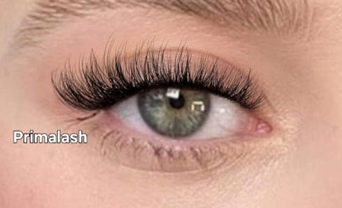 Primalash curl C