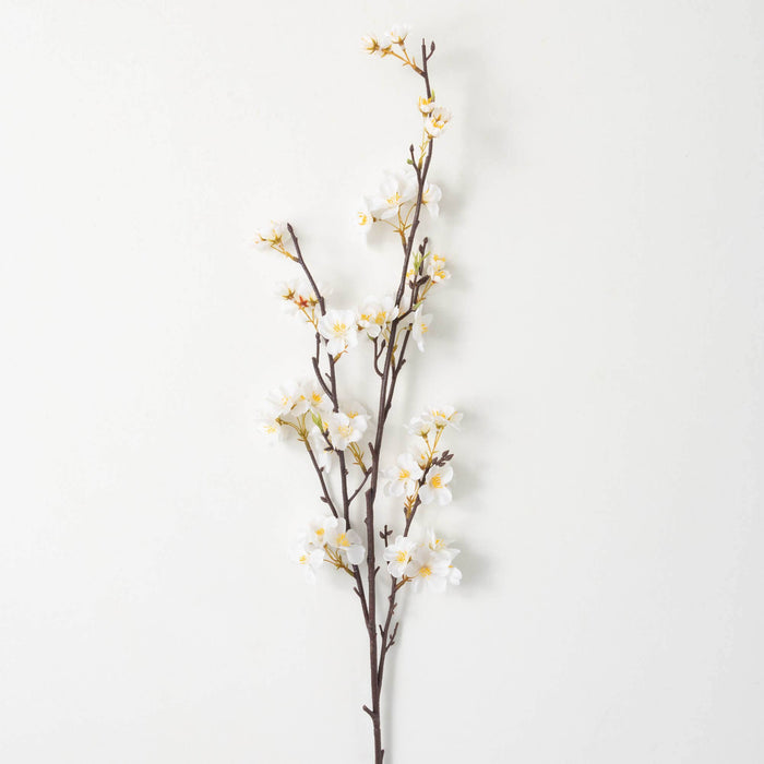 Elegant white apple blossom with yellow stamin spray