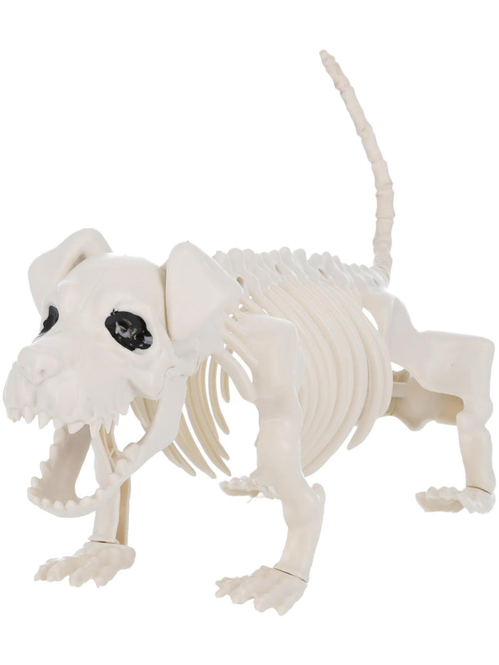 Dog Skeleton Prop
