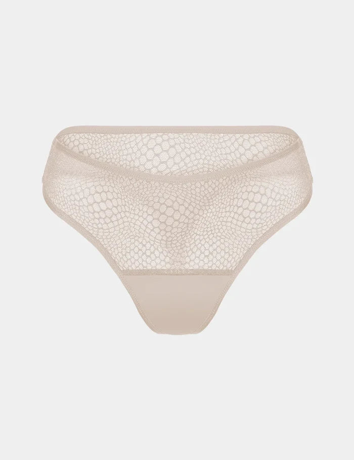 Oyster / XS