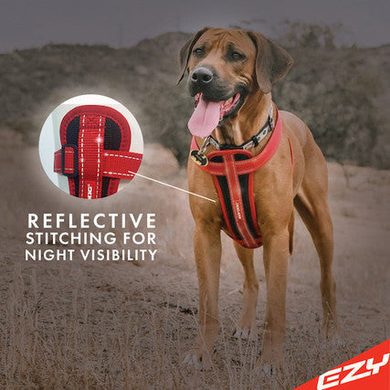 EzyDog CHEST PLATE™ DOG HARNESS