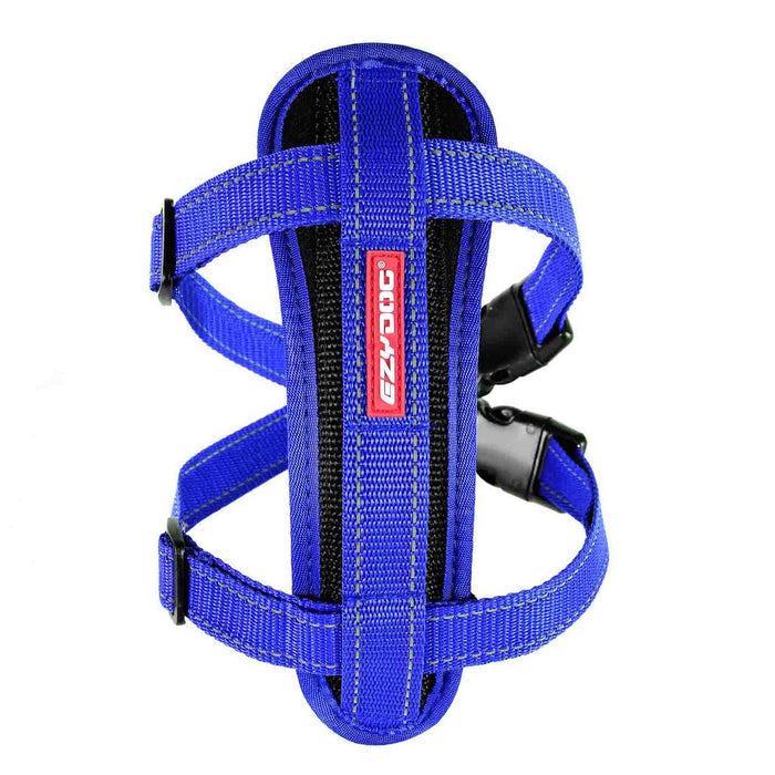 medium / Blue