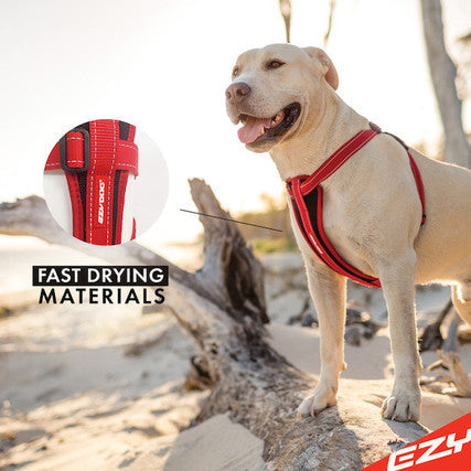 EzyDog CHEST PLATE™ DOG HARNESS