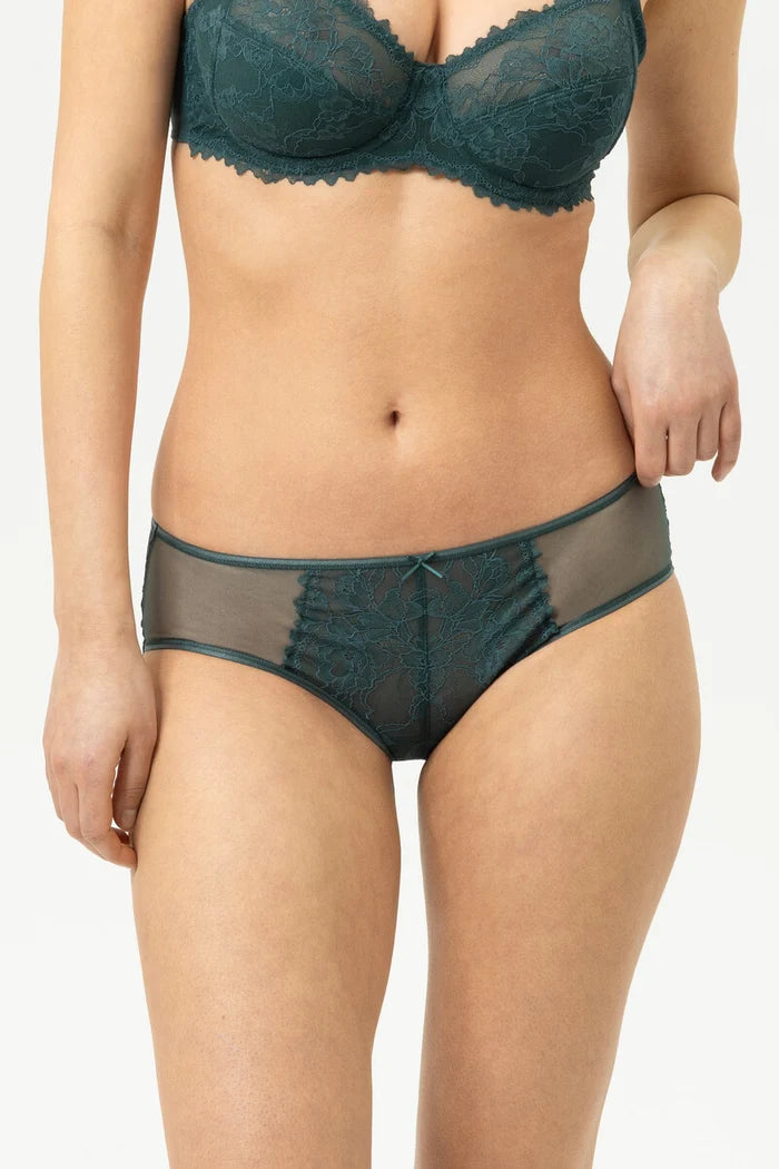 Fabulous Hipster Panty
