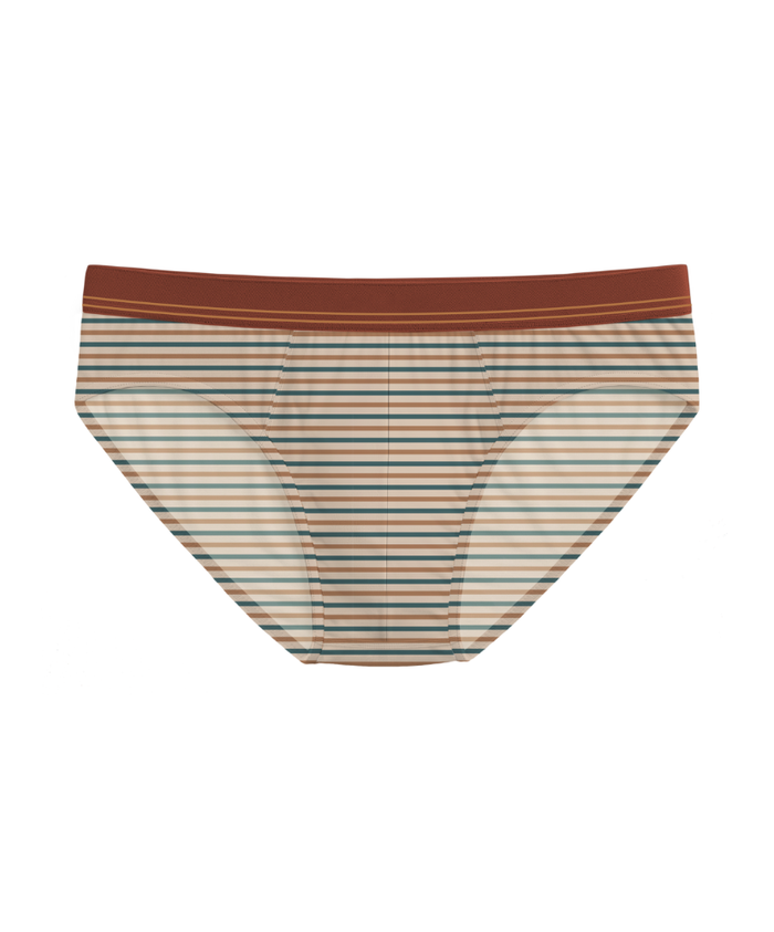 Fall Drop 4 Pack Briefs