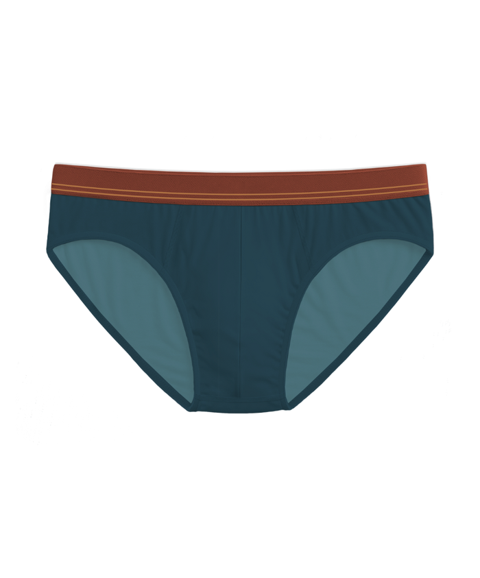 Fall Drop 4 Pack Briefs