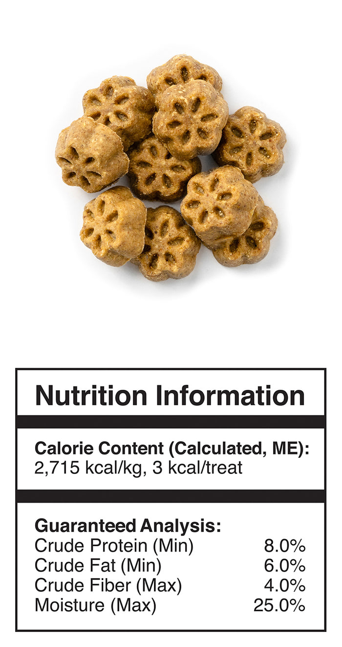 Fruitables Skinny Minis Grilled Bison Flavor Soft & Chewy Dog Treats