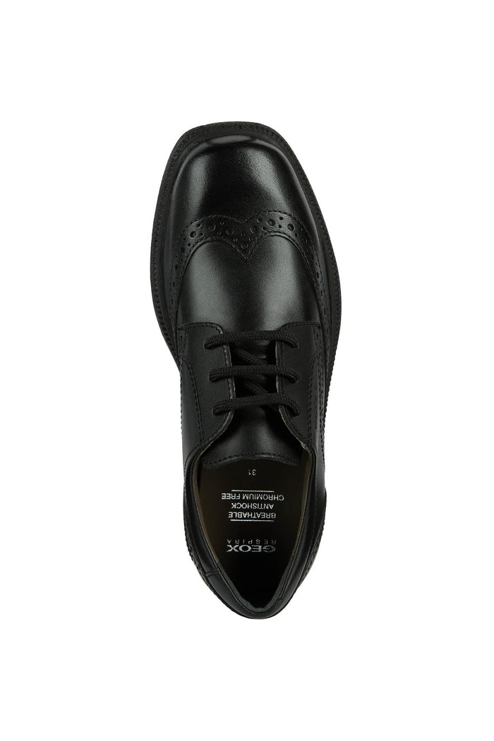 Geox School Shoes | Federico Brogue Lace Up | Black