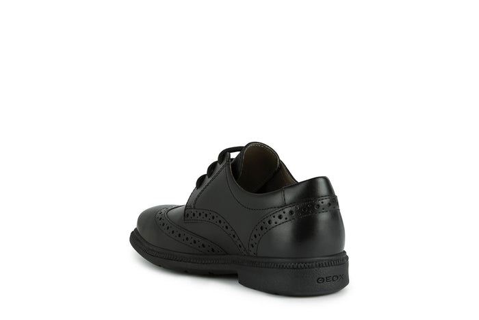 Geox School Shoes | Federico Brogue Lace Up | Black