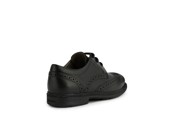 Geox School Shoes | Federico Brogue Lace Up | Black