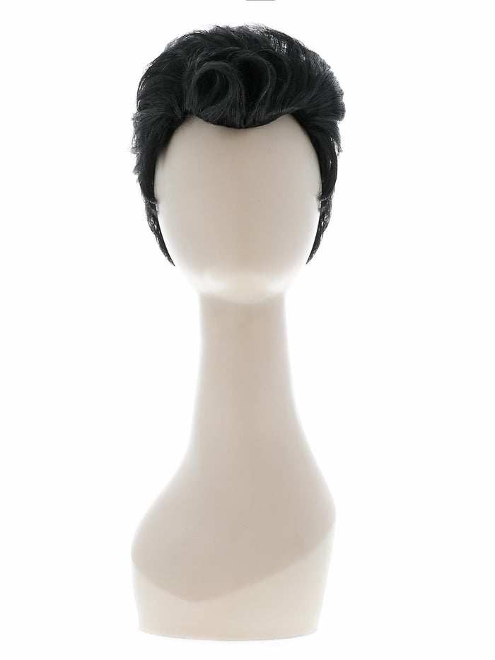 Grease Danny Wig