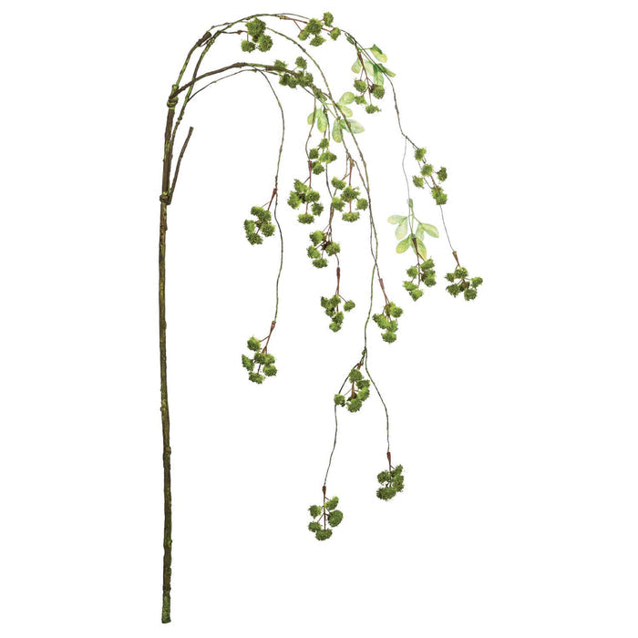 hanging Irish moss green like emeralds and the spray arches in a delicate dangling sway