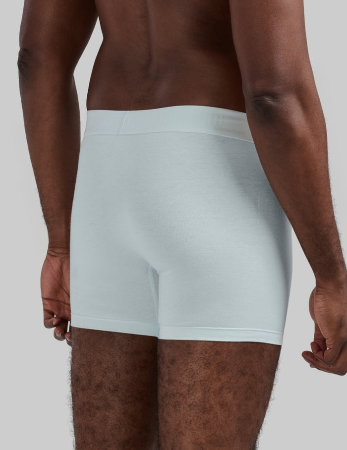 | Back view of model wearing the Men's Best Damn™ Cotton Modal Boxer Brief 5" highlighting the coverage and fit | Ice
