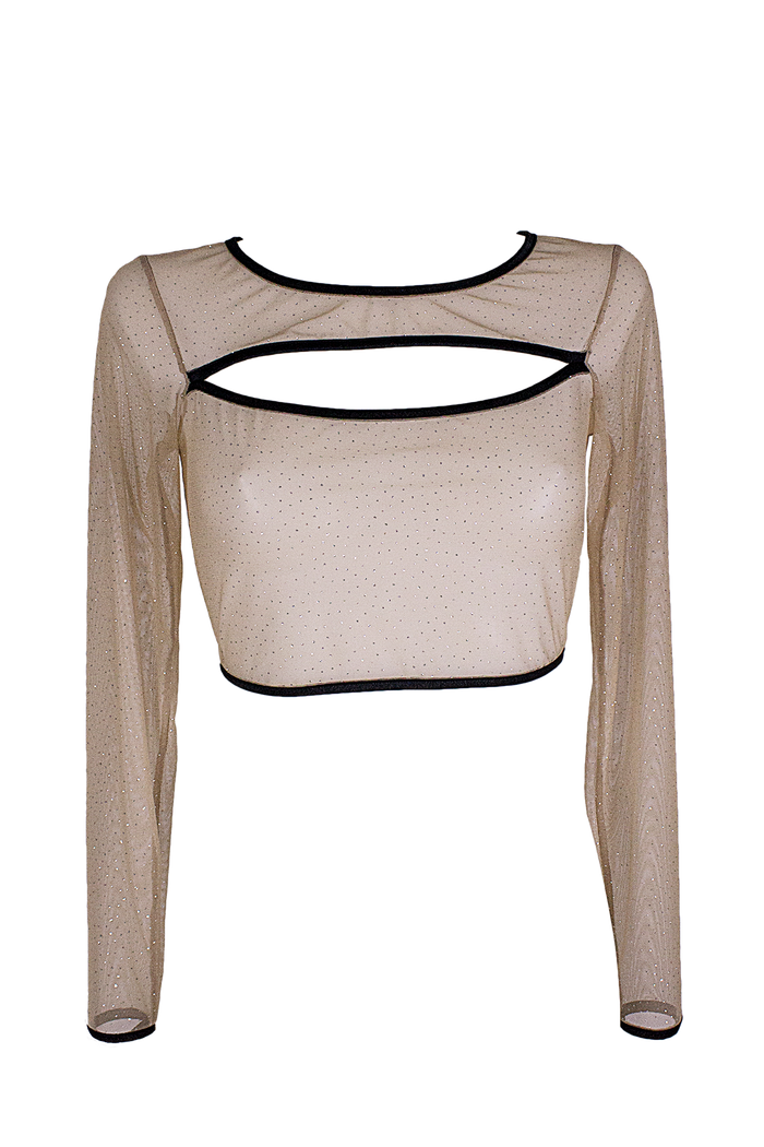Slit front Crop Top Long sleeve Mesh Sparkle T-Shirt / Nude Lingerie Top - EXES LINGERIE