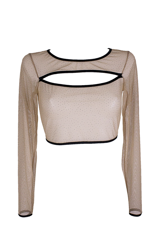 Slit front Crop Top Long sleeve Mesh Sparkle T-Shirt / Nude Lingerie Top - EXES LINGERIE