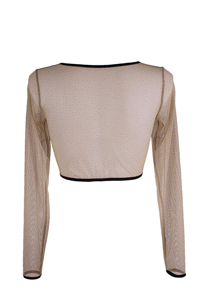 Slit front Crop Top Long sleeve Mesh Sparkle T-Shirt / Nude Lingerie Top - EXES LINGERIE