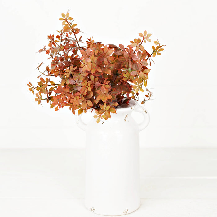 Sweetgum Bush | Burgundy | 16"