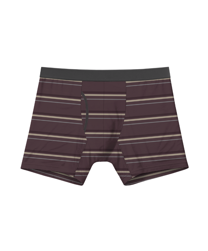 Winter Drop 4 Pack Bamboo Boxer Briefs 5"