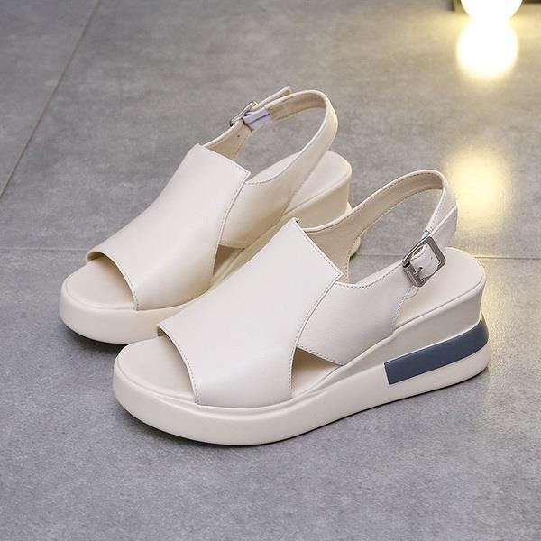 Beige / 35