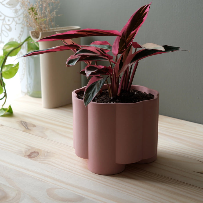 Zadie Planter