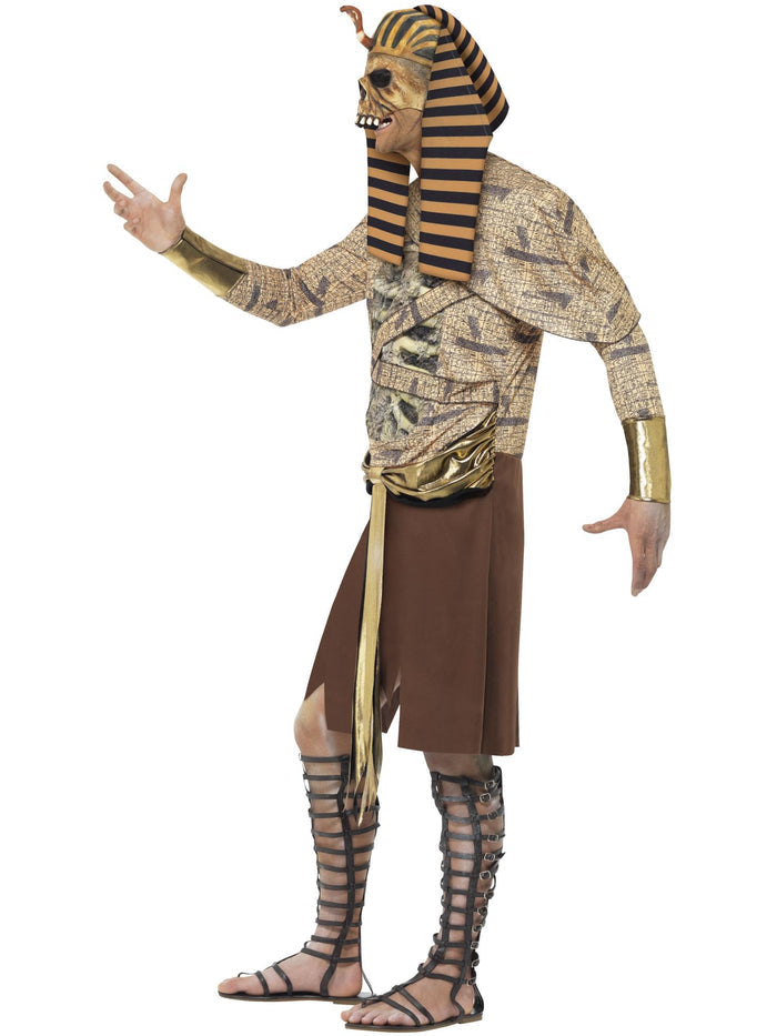 Zombie Pharaoh Adult Men's Costume
